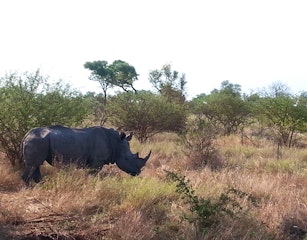 Kruger National Park South