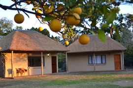 Eastern Cape Accommodation at  | Viya