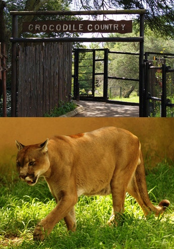 Johannesburg Zoo