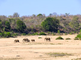 Kruger National Park South Accommodation at Meerkatgat 3341 Seekoei Road | Viya