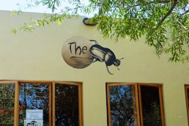 Overberg Accommodation at Barrydale Backpackers and Dung Beetle Pub | Viya