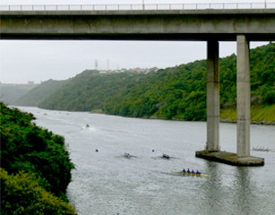 Steve Biko Bridge