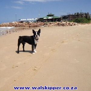 Die Walskipper Restaurant