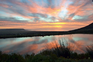 Cape Point Vineyards