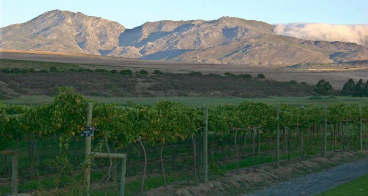 Western Cape Accommodation at Endless Vineyards at Wildekrans Wine Estate | Viya