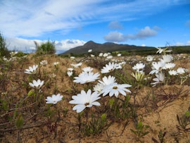 Western Cape Accommodation at Marthinusrust | Viya