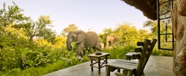 Mpumalanga Accommodation at Geiger's Camp - Motswari Game Reserve | Viya