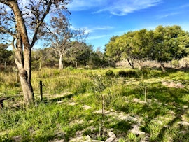 West Coast Accommodation at Jacobuskraal Yzerfontein Farmhouse | Viya