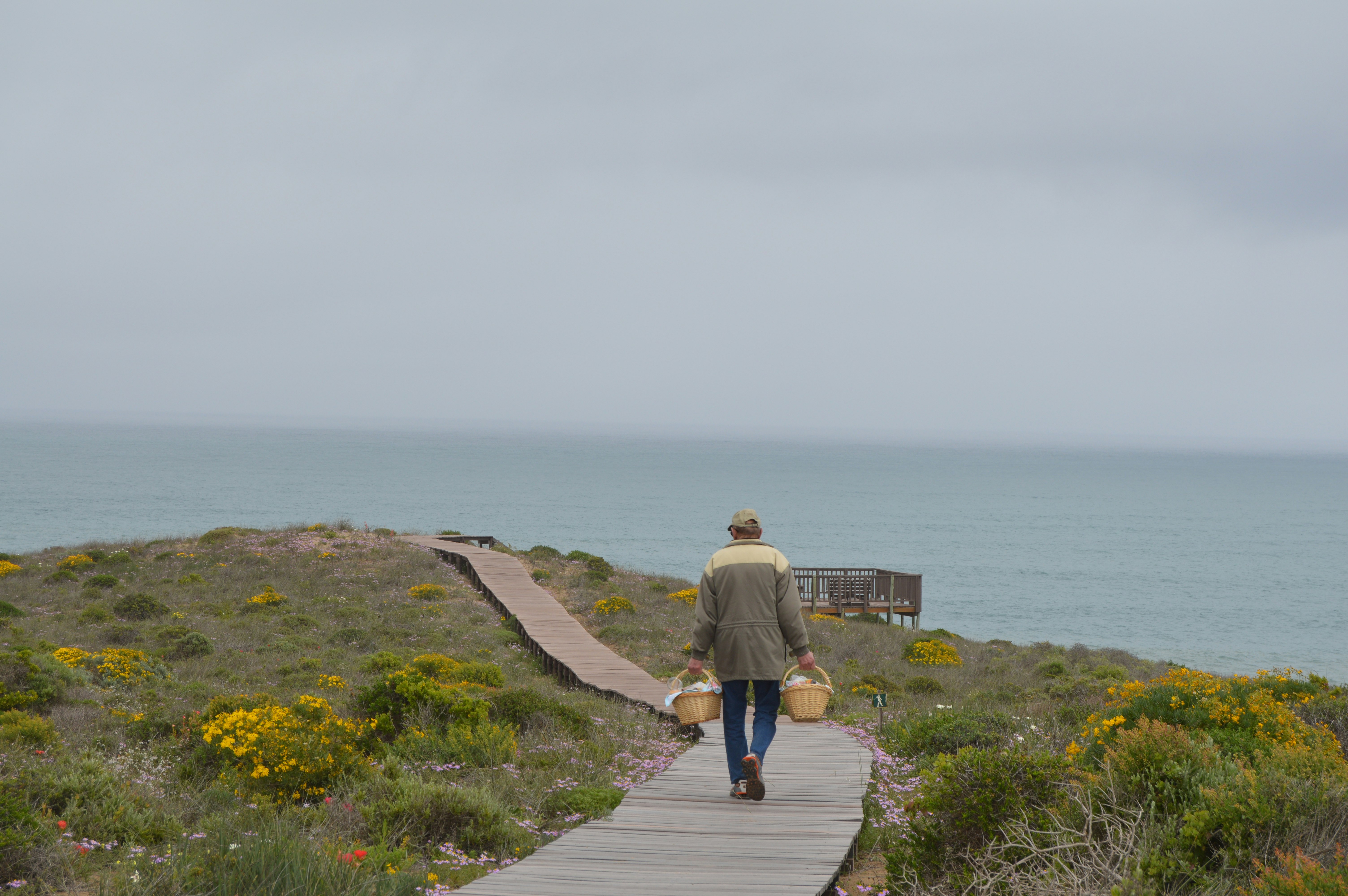 Namaqua Flower Beach Camp | LekkeSlaap