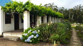 Garden Route Accommodation at  | Viya