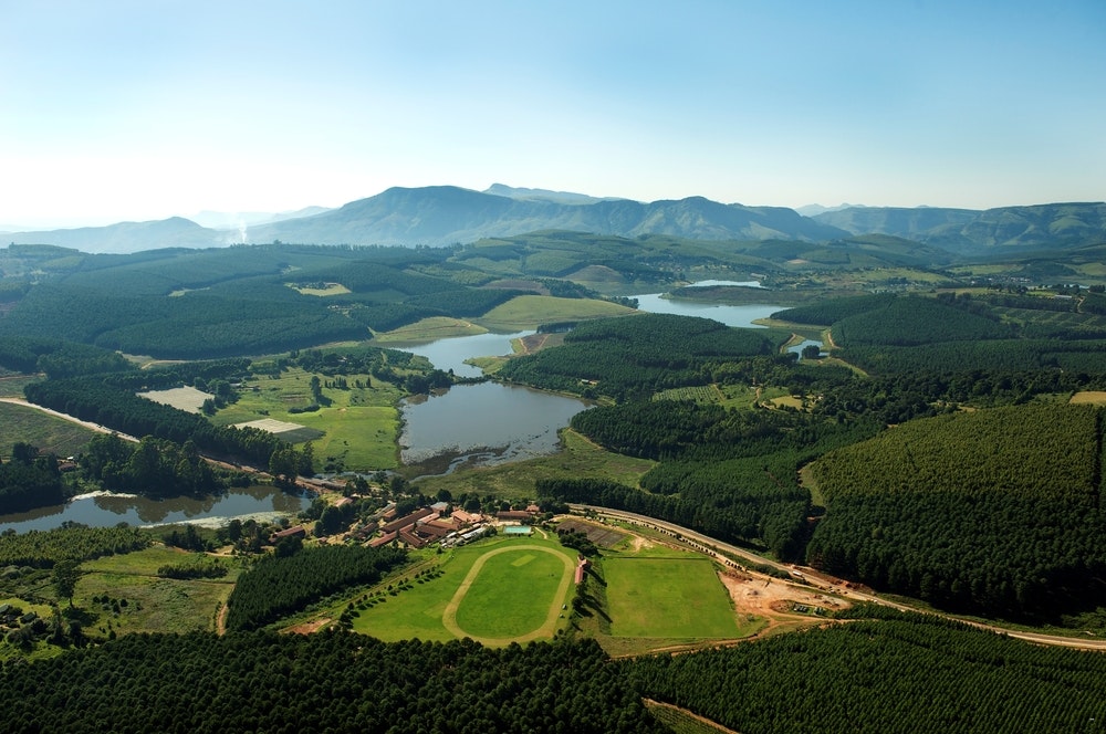 Stanford Lake College