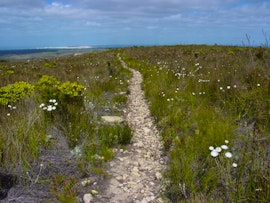 Western Cape Accommodation at Potteberg Guest Farm | Viya