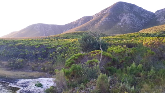 Overberg Accommodation at  | Viya