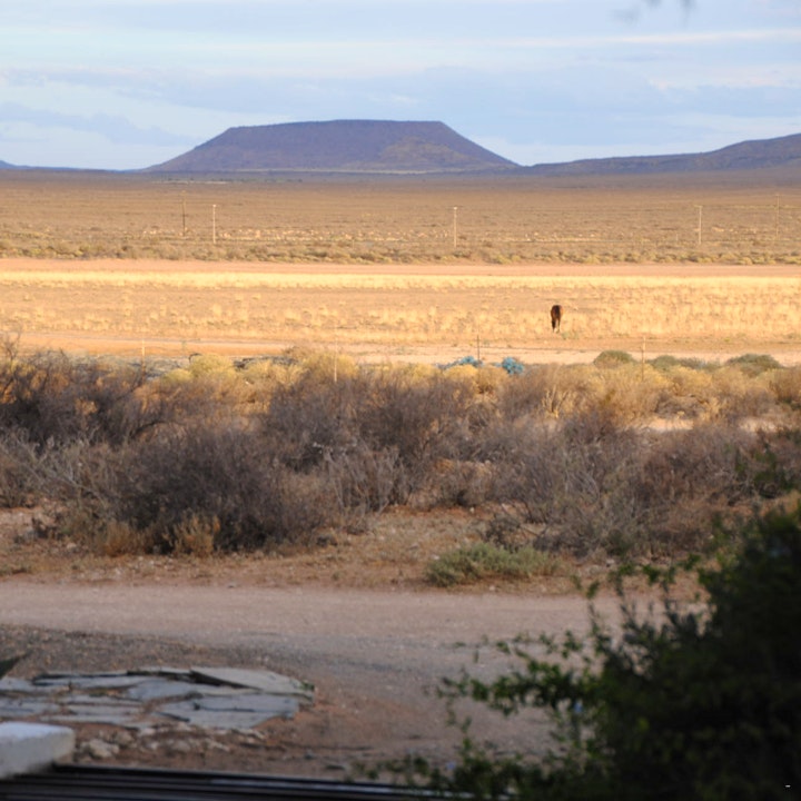 Northern Cape Accommodation at Rooidam Cottages & Campsites | Viya