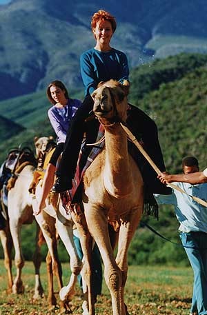 Wilgewandel Holiday Farm