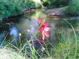 Tzaneen Accommodation at The Herb Cottage | Viya