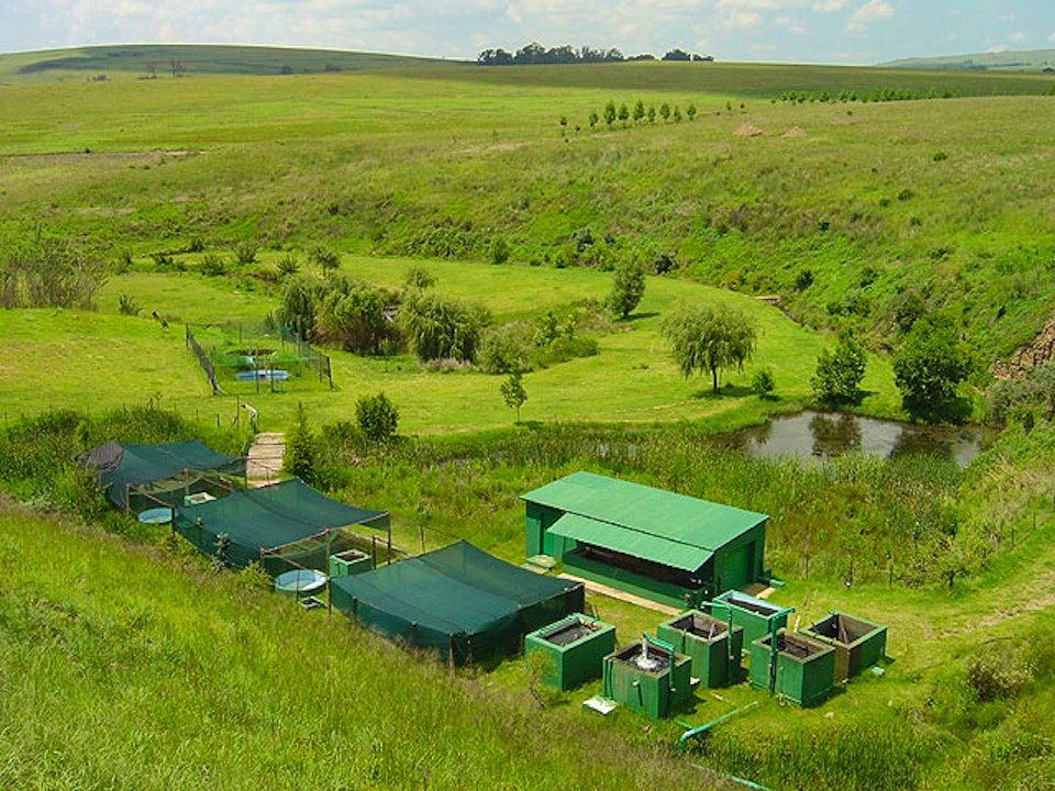 Mpumalanga Accommodation at  | Viya