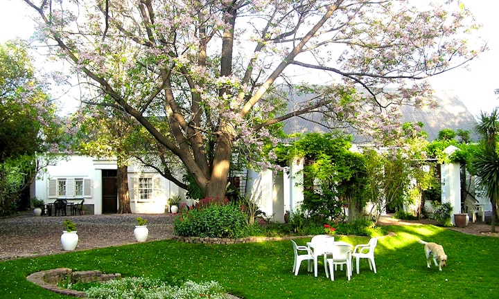 Karoo Accommodation at Little Green World | Viya