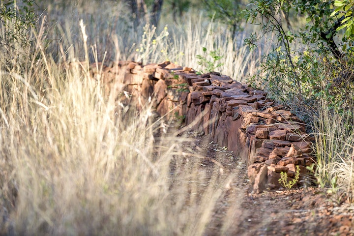 North West Accommodation at The Hanging Garden Bushveld Eco-Retreat | Viya