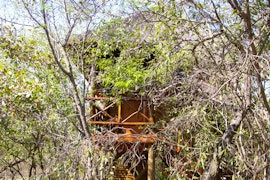 Kruger National Park South Accommodation at Hornbill's Nest Tree Top chalets | Viya