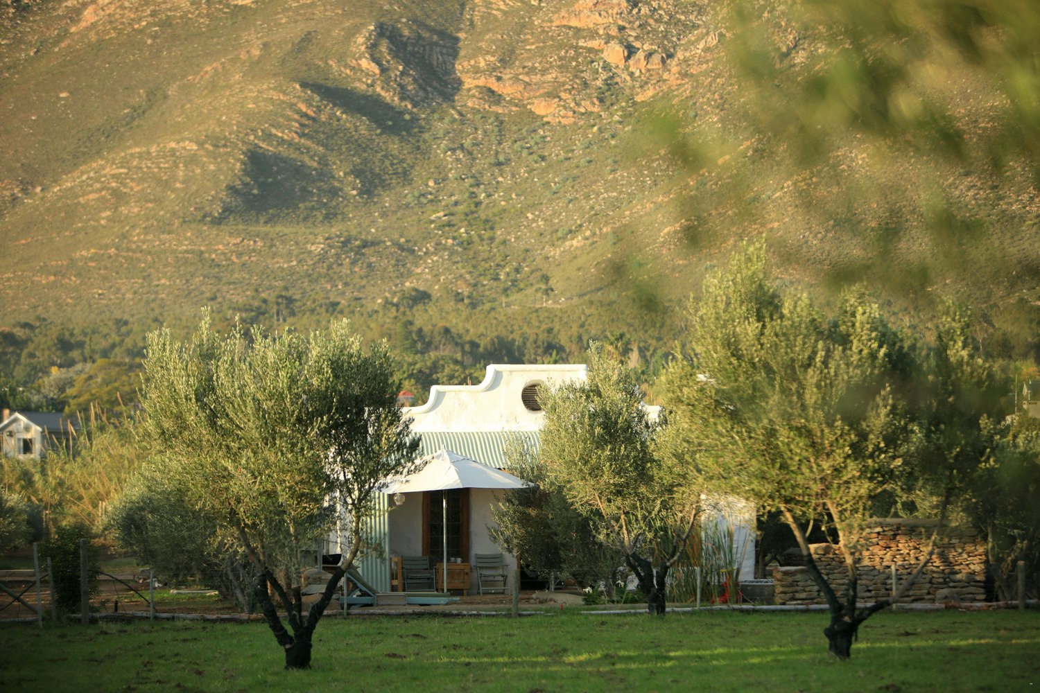 Olive Stone Farm And Cottages