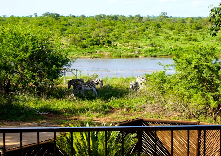 Kruger National Park South Accommodation at Tau Self-catering House | Viya