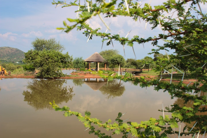 Limpopo Accommodation at Thandile Country Lodge | Viya