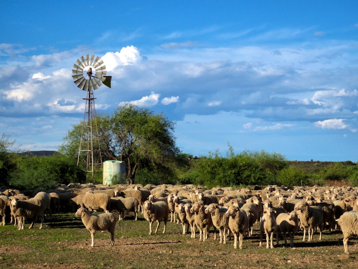 Northern Cape Accommodation at Nietgedacht Farm Stay | Viya