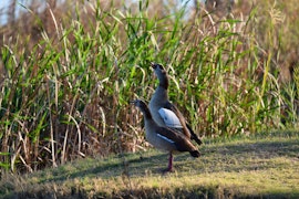 Loskop Valley Accommodation at Riviersig Self-catering | Viya