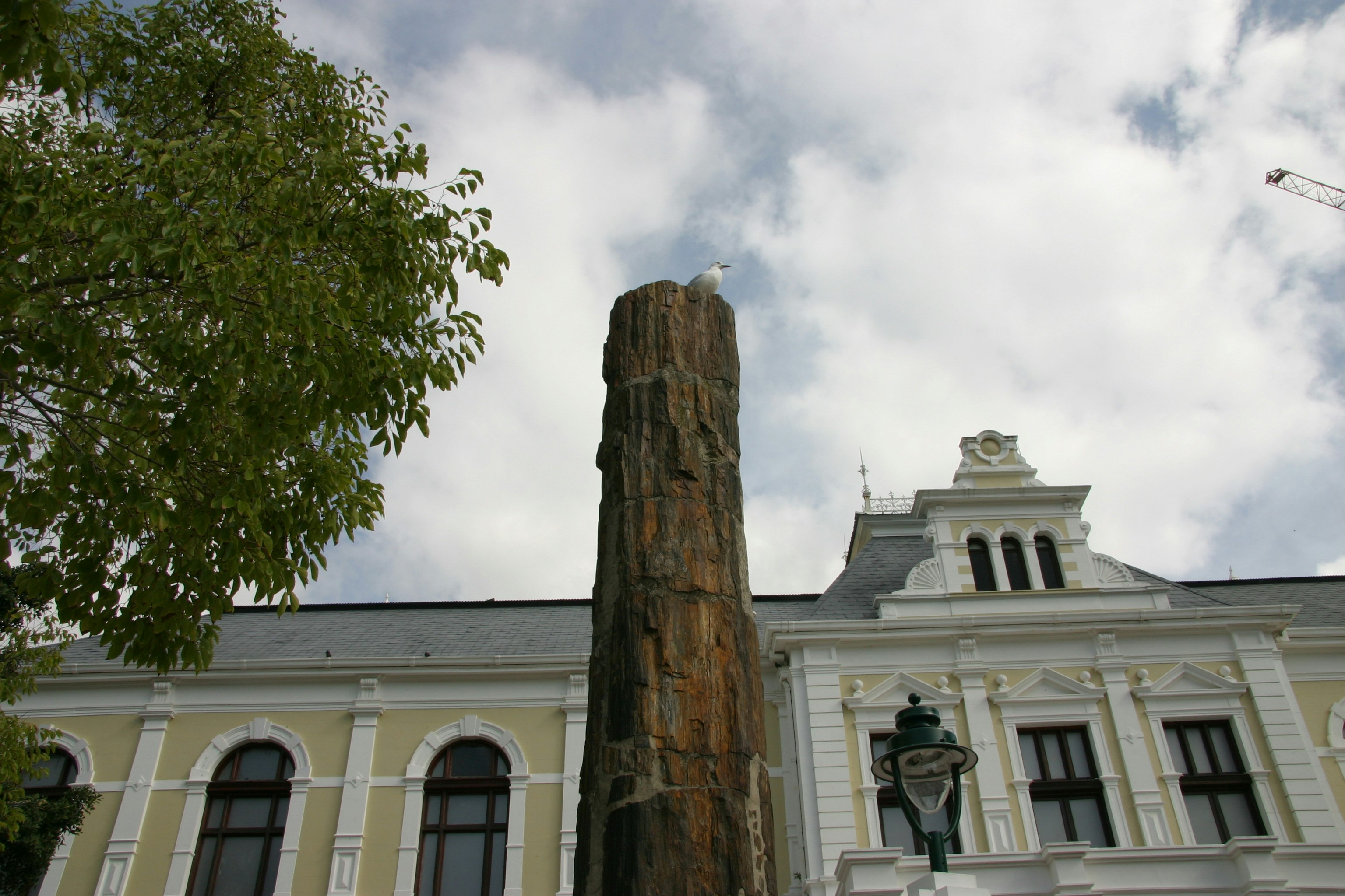 Iziko South African Museum