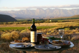 Western Cape Accommodation at Tanagra Wine & Guest Farm | Viya