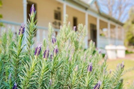 Boland Accommodation at Esperance Farmstay @ Manor | Viya