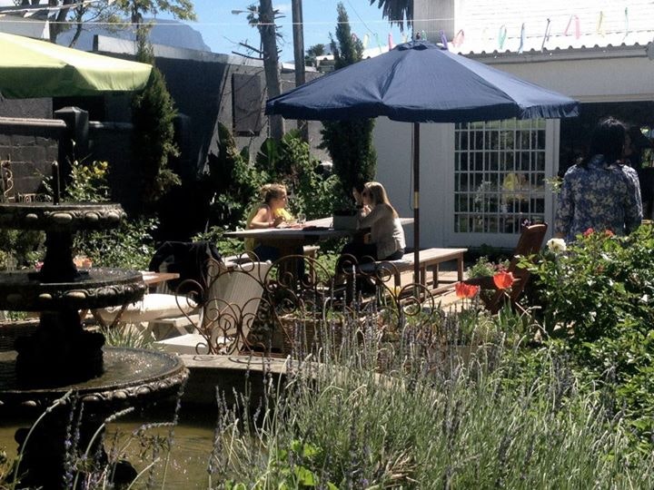 The Backyard Café