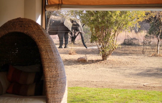 Dinokeng Game Reserve Accommodation at  | Viya