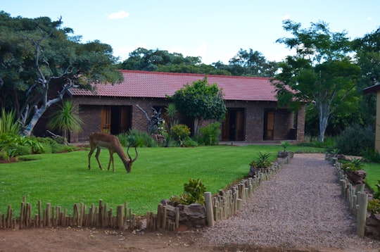 Limpopo Accommodation at  | Viya