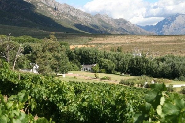 Schalkenbosch Estate