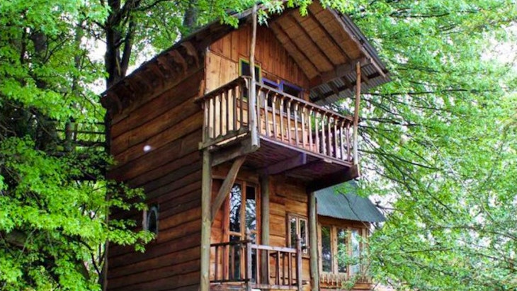  by Sycamore Avenue Treehouse Accommodation | LekkeSlaap