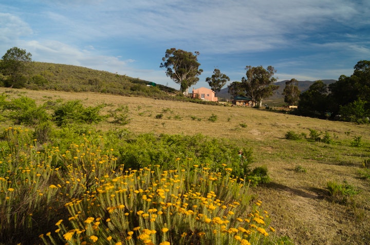 Western Cape Accommodation at Swartberg Backpackers | Viya