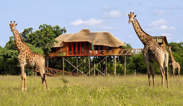 Mpumalanga Accommodation at Pezulu Tree House Lodge | Viya