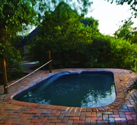 Kruger National Park South Accommodation at  | Viya