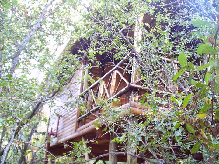 Mpumalanga Accommodation at Hornbill's Nest Tree Top chalets | Viya
