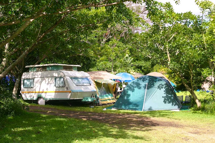 Wild Coast Accommodation at Yellowwood Forest Camping and Accommodation | Viya