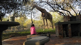 Kruger National Park South Accommodation at Doringpoort: Lemoentjiedoring 1621 Self-catering Accommodation | Viya