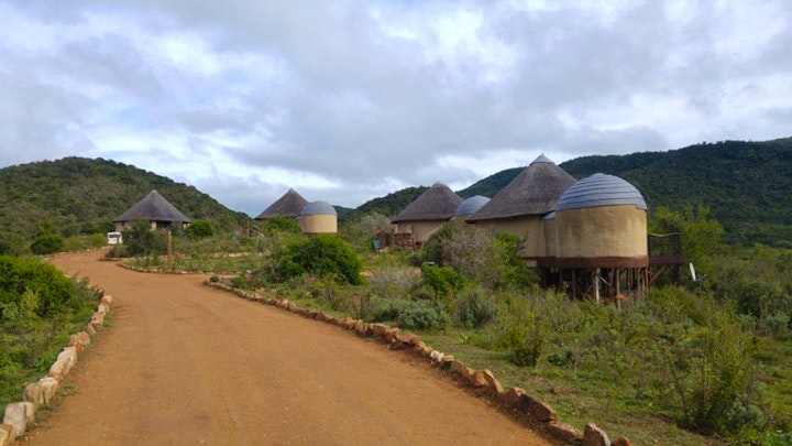 Eastern Cape Accommodation at SANParks Addo Nyathi Rest Camp | Viya