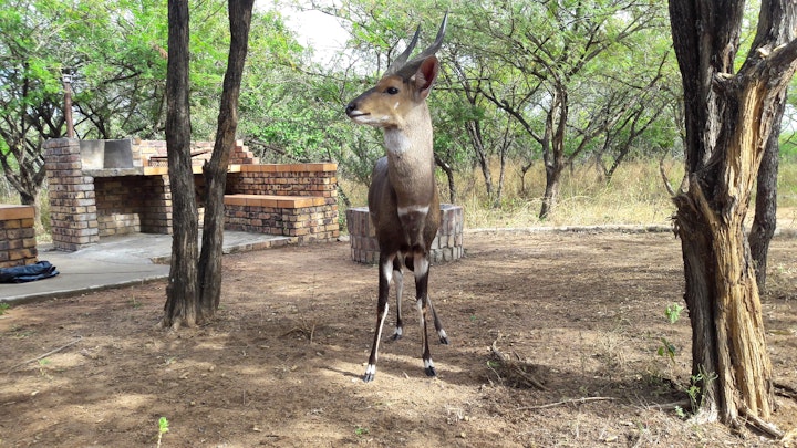 Kruger National Park South Accommodation at Umvangazi Rest | Viya