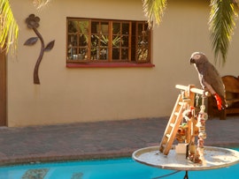 Bloemfontein Accommodation at A Cherry Lane Self-Catering and B&B | Viya