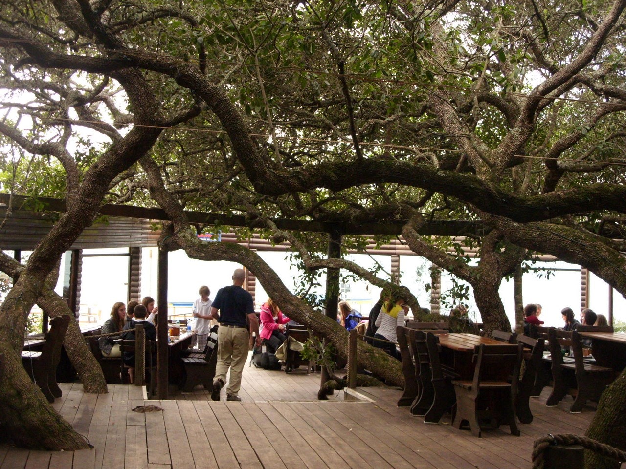 Featherbed Nature Reserve