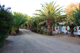 Tankwa Karoo Accommodation at Die Blou Nartjie | Viya