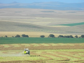 Overberg Accommodation at Middeldam Farm House | Viya