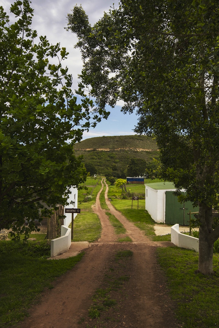 Western Cape Accommodation at Hermitage Huisies | Viya
